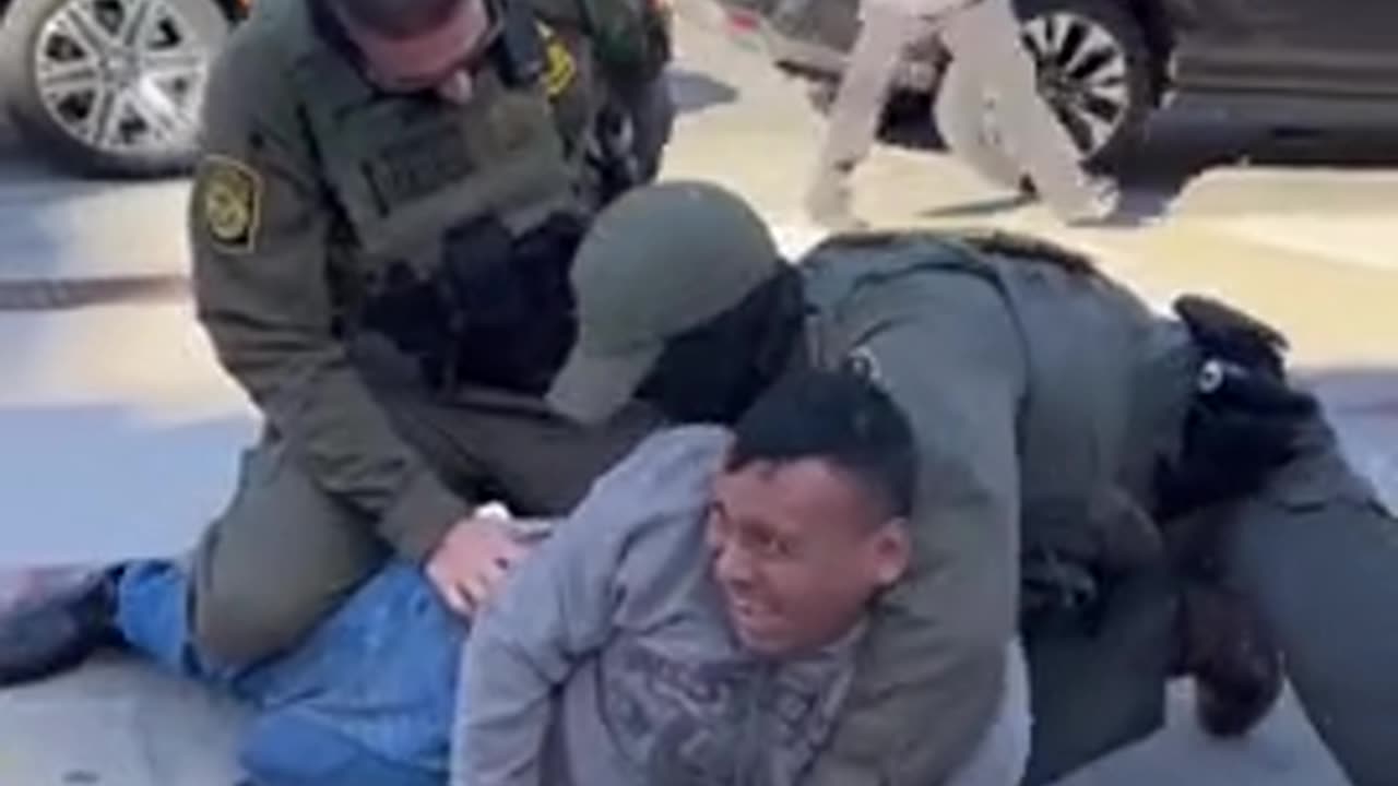 Screaming Illegal Detained By Federal Agents