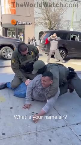 Screaming Illegal Detained By Federal Agents