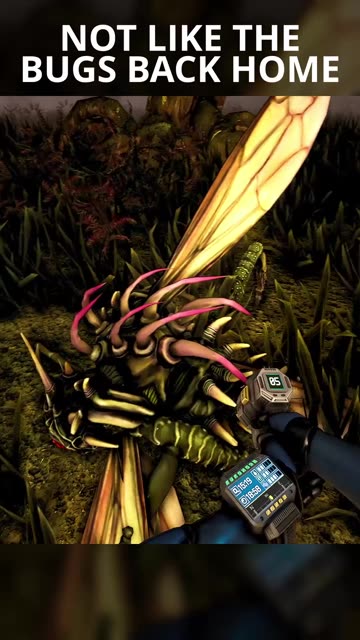 Not Like The Bugs Back Home #shorts