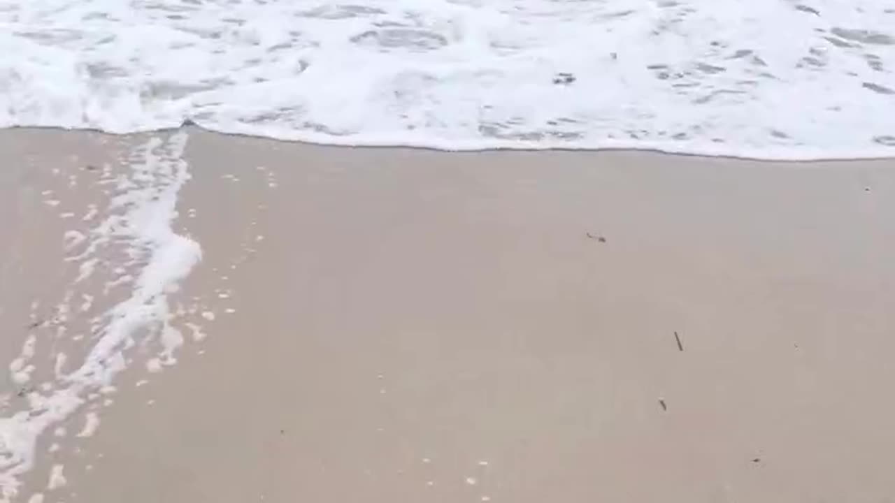 ASMR ocean waves and seagulls for relaxation