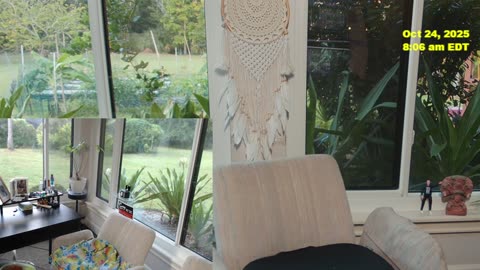 DID YOU GET THE MEMO PETER?