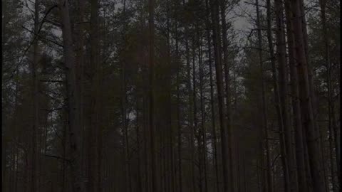 🙏✨ Let's Pray Together | Embrace God's Glory & Connect in Faith | InGodWeTrustDaily