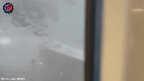 Most Unbelievable Nature Moments Ever Caught on Camera