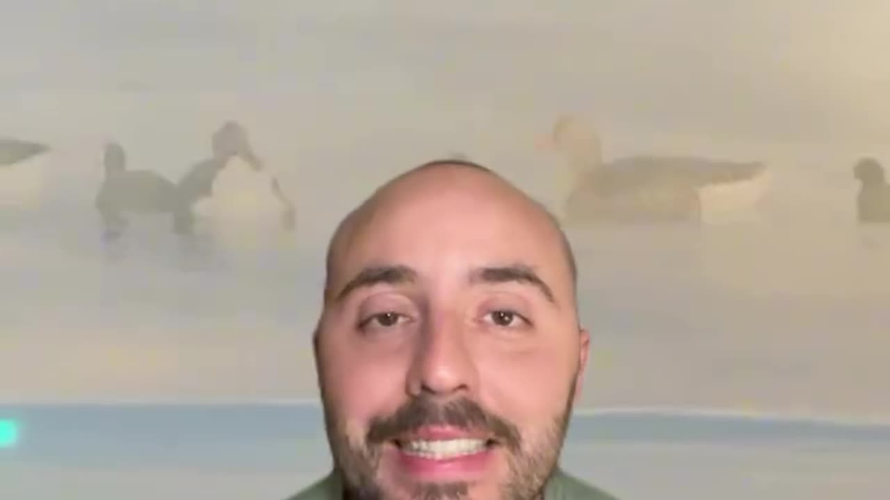ssdd