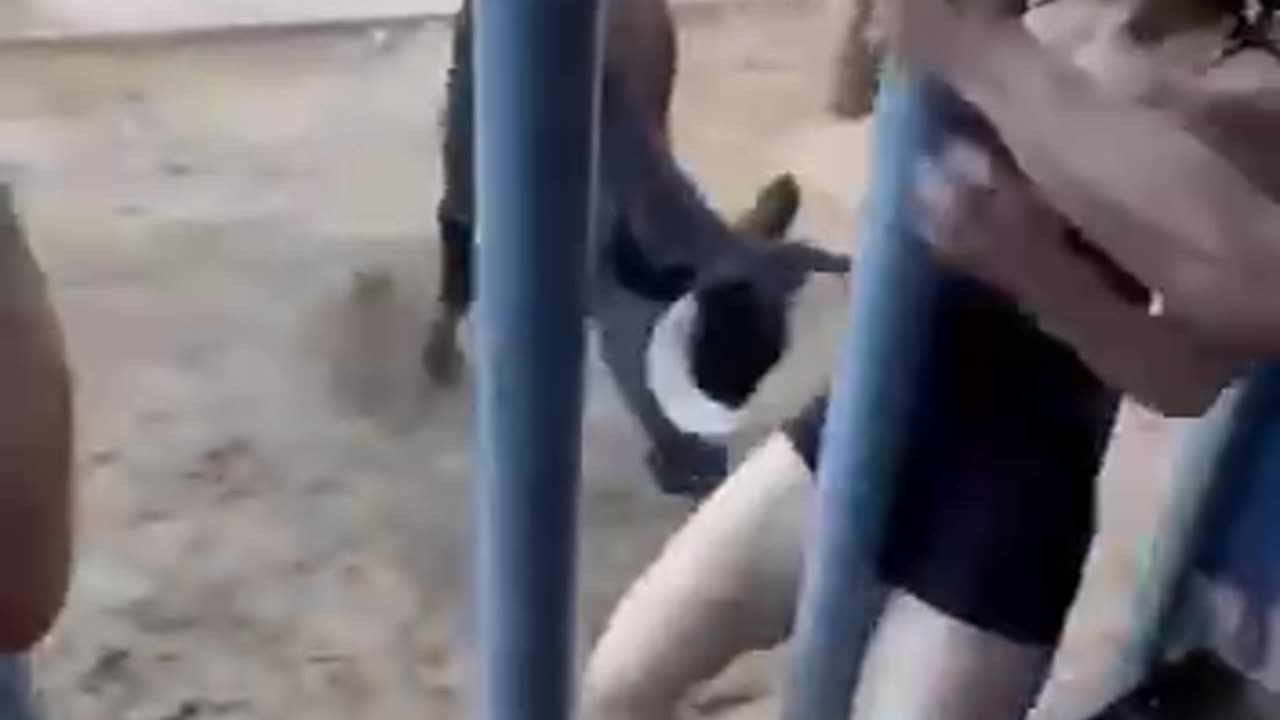 UN TAUREAU FRAPPE UNE FILLE EN PLEIN SPECTACLE! CHOC