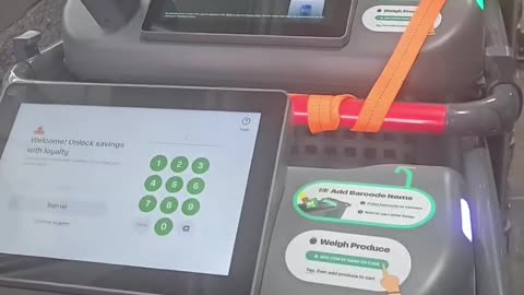 New shopping carts will eliminate cashier jobs in America