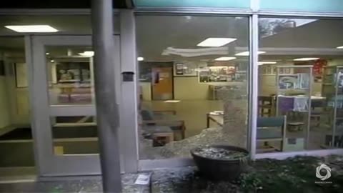 Sandy Hook Line And Sinker - A Nefarious Narrative 2017 Documentary