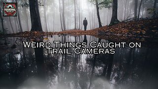 Weird Things Caught on Trail Cameras.