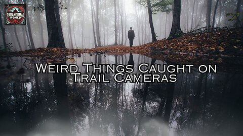 Weird Things Caught on Trail Cameras.