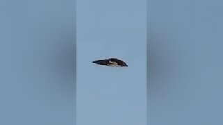 Wedge-shaped UFO over San Diego