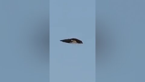 Wedge-shaped UFO over San Diego