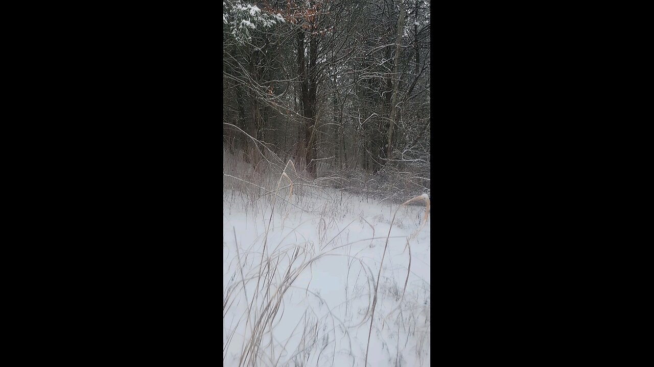 Hiking in the snow