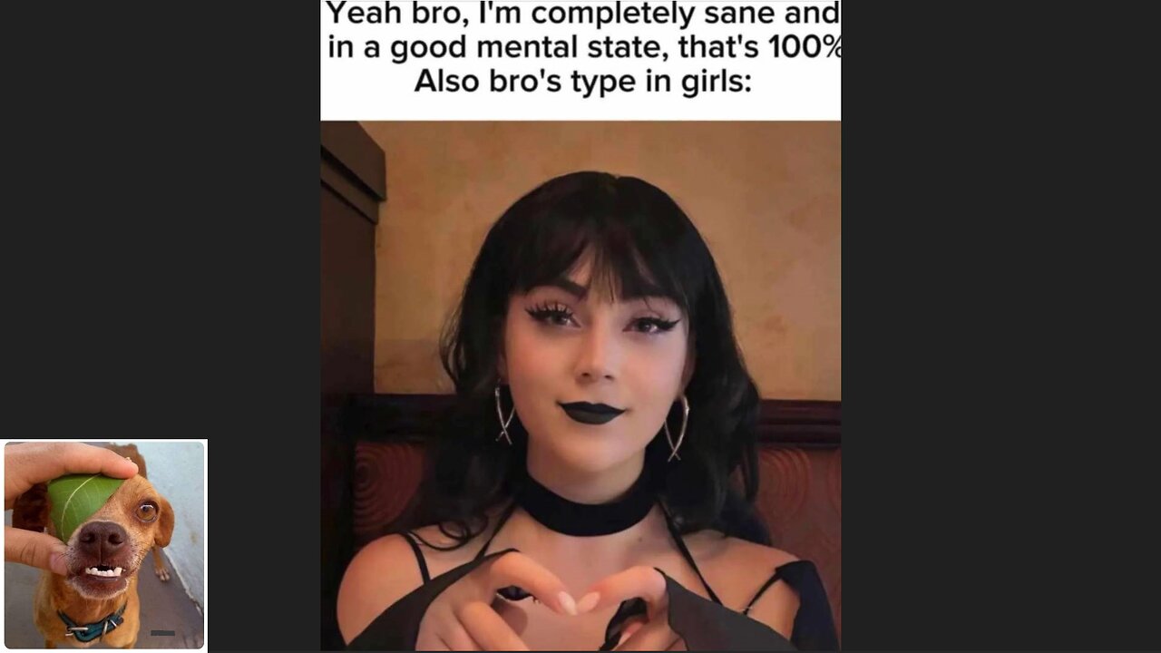 Memes That Will 99.0403% Make You Laugh. (e627)