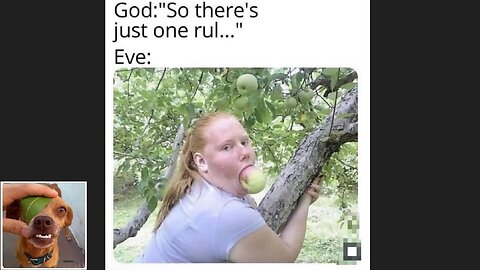 Memes That Will 99.0396% Make You Laugh. (e620)