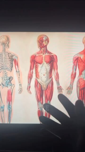 You Are NOT Your Body 👁️