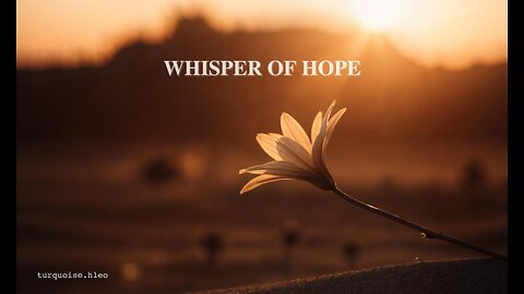 A Flower in the Sands | WHISPER OF HOPE