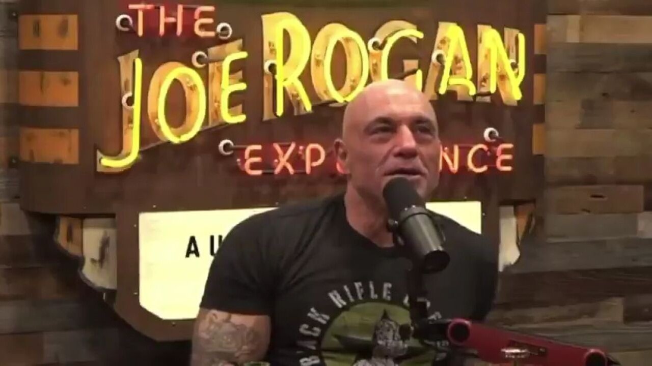 'It's So Stupid!' Joe Rogan Tells CNN Exactly Why Podcasts Like His Are So Popular