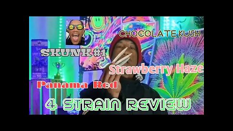 Yes, sir! 4 Cannabis STRAIN Review (The Grow Variety Show ep.305)