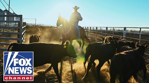 Cattle ranchers have beef with Trump