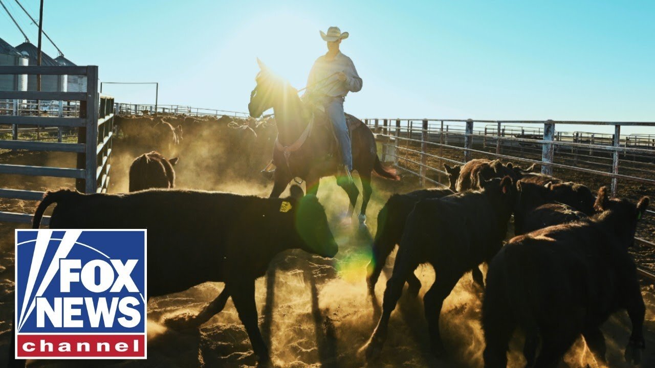 Cattle ranchers have beef with Trump