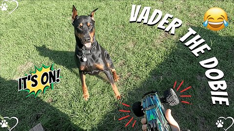 Doberman RC Truck Takedown: Vader’s Victory Hunt! 🐶🚛
