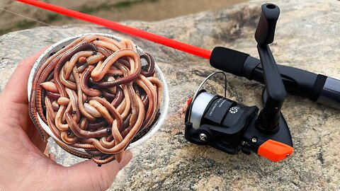 I Took My Kids Fishing With GIANT Live Bait WORMS (WALMART)