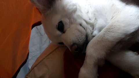 20260201. Lord's Day.