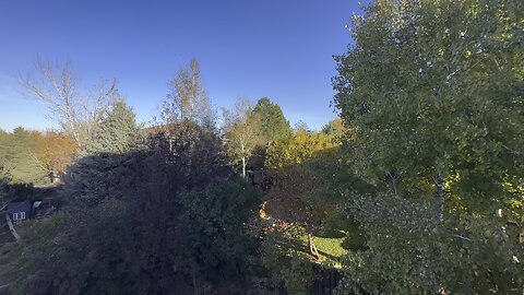 A good time to get outside for a bit