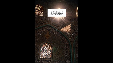 Follow if you love Allah / Surah Al Baqarah Ayat 112 #islamicvideo #viralvideos #quran #tafseer