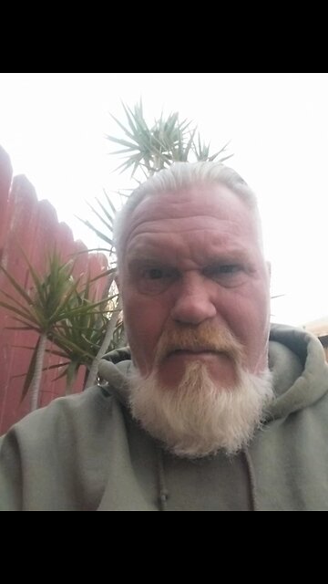 Annual Ginger Transformation