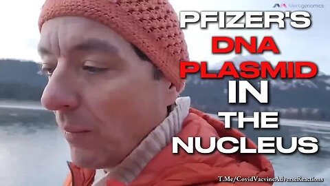 Pfizer's DNA Plasmid Is Likely Entering the Nucleus