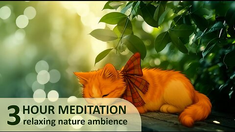 3 Hours Of Soft Nature Ambience | Relax And Let Your Mind Be Free
