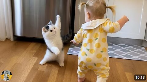 Cat Drama Level 1000% 🤣🔥 | Funniest Cat Moments Ever! 😹🐾