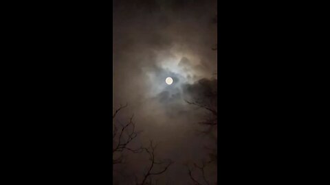 REBEL JIMS WOLF MOON