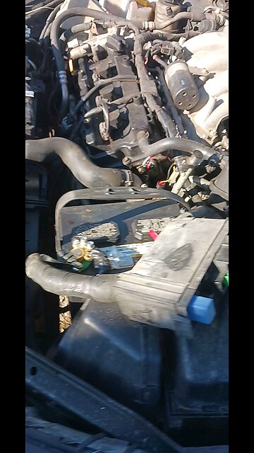 is it the starter or something else?