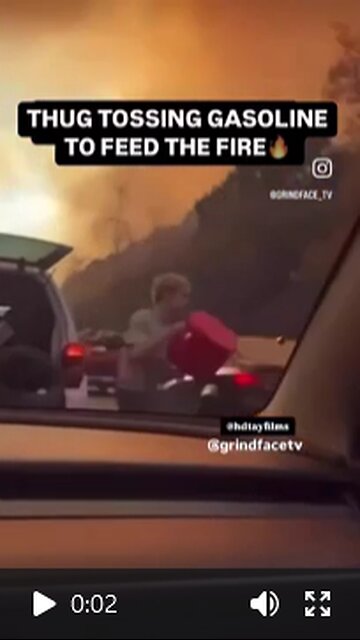 Zombie Purge in CA: People were spotted throwing gasoline to fuel the fires in California…