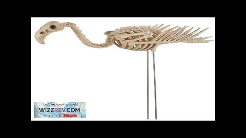 Flamingo Skeleton Yard Decoration Review