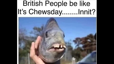 Memes Dec 16th, 2025