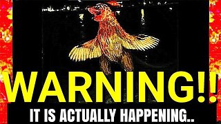 ''Strange Videos That Have Me Extremely Puzzled''