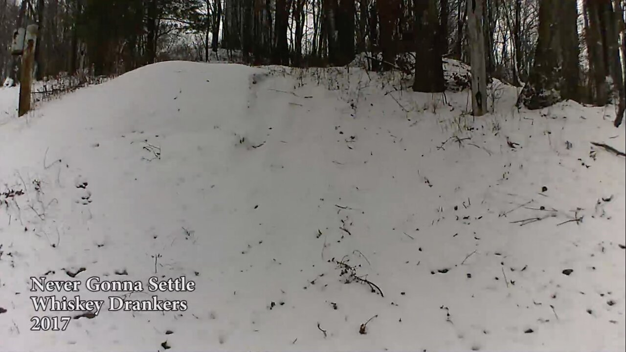 Never Gonna Settle by the WhiskeyDrankers