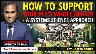 Dr.SHIVA™: Your Pet's Whole Health @CytoSolve Systems Analysis(12/23)