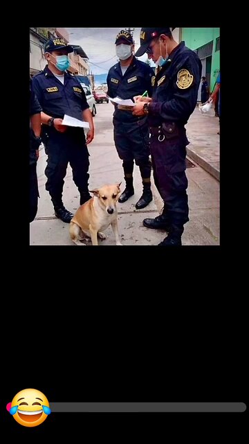 Dog you are underarrest😂🤣🤣