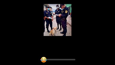 Dog you are underarrest😂🤣🤣