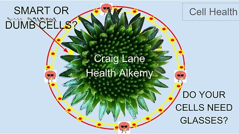 Craig Lane MasterMinds Health Alkemy - What Are Carbohydrates Made In Human Bodies?