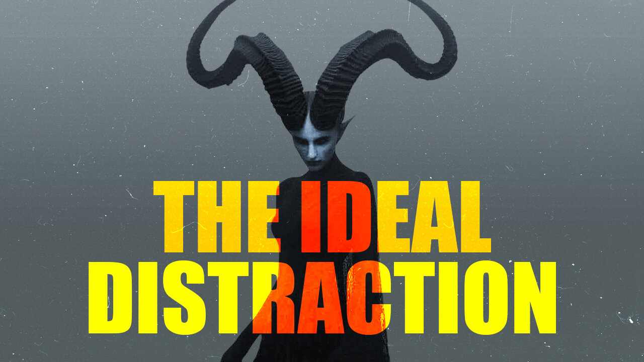 THE IDEAL DISTRACTION