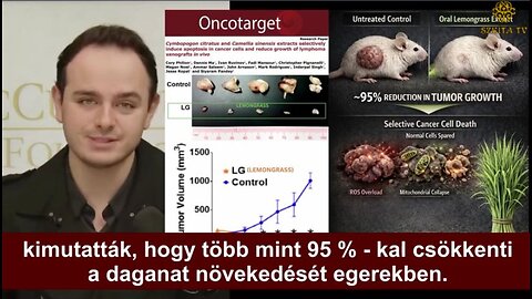 A Citromnád és a Pitypanggyökér 95%-kal csökkenti a limfóma rákot egerekben