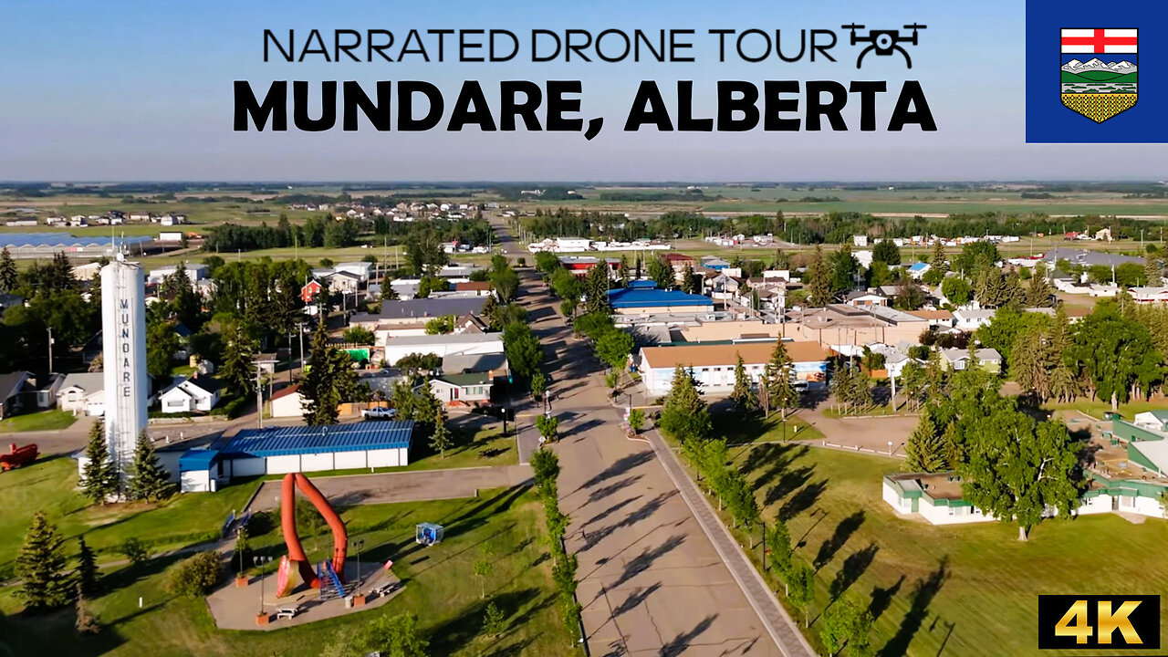 🌻 Mundare, Alberta 🏞️ 4K Drone