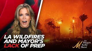 Megyn Kelly on Horrifying Los Angeles Wildfires, Lack of Preparation by Mayor, and Focus on DEI