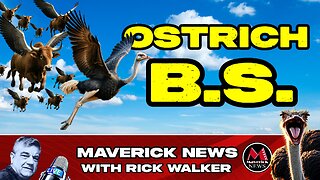 "Ostrich Farm Protest Escalates: Allegations of Violated Court Order Amid Bird Flu Crisis"