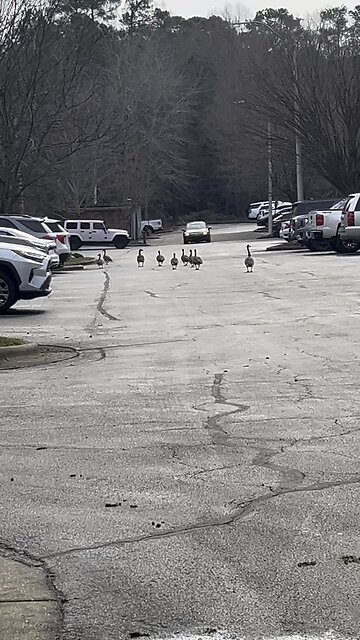 When you know you’re protected by international law